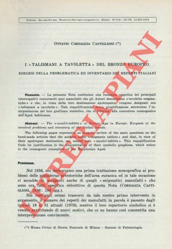 I 'talismani a tavoletta' del bronzo europeo. Esegesi della problematica …