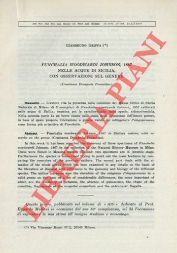 Funchalia woodwardi Jhonson, 1867 nelle acque di Sicilia, con osservazioni …