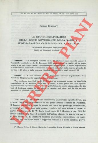 Un nuovo ingolfiellideo delle acque sotterranee della Namibia: Stygobarnardia caprellinoides …