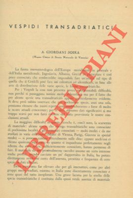 Vespidi transadriatici.