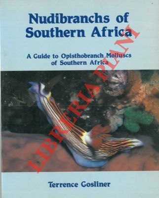 Nudibranchs of Southern Africa. A guide to Opisthobranch molluscs of …
