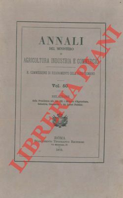 Reale Commissione di risanamento dell'Agro Romano. Relazione.
