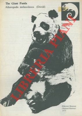 The giant panda.