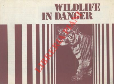 Wildlife in danger.