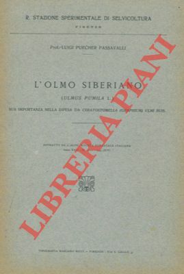 L'olmo siberiano (Ulmus pumila L.) sua importanza nella difesa da …