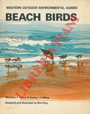 Beach birds. Ill. by R. King.