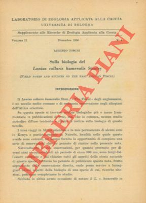 Sulla biologia del Lanius collaris humeralis Stanley.
