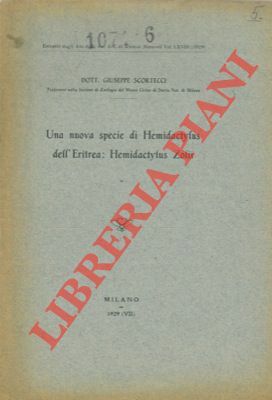 Una nuova specie di Hemidactylus dell'Eritrea: Hemidactylus Zolii.