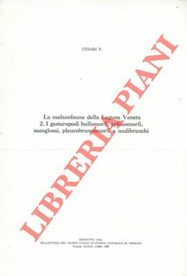 La malacofauna della laguna veneta - 2. I gasteropodi bullomorfi, …