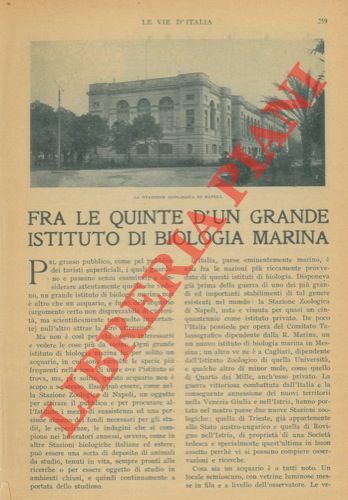 Fra le quinte d'un grande Istituto di Biologia Marina (a …