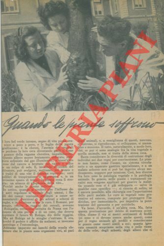 Quando le piante soffrono.