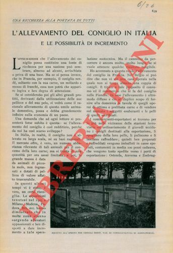I licheni e la malattia delle vetrate antiche.