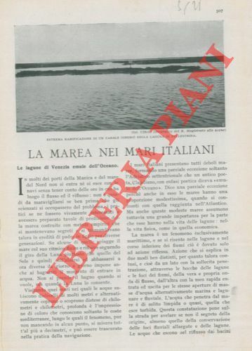 La marea nei mari italiani.