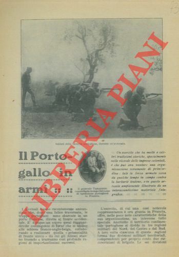 Il Portogallo in armi.