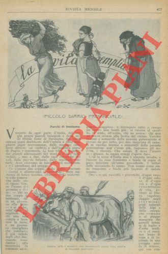 La vita semplice (piccolo diario provinciale).