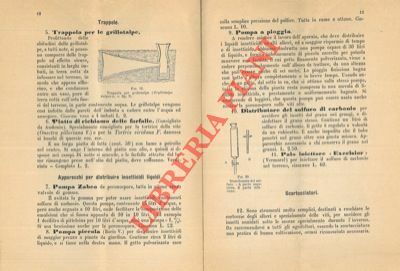 Catalogo dei prodotti chimici ed apparecchi anticrittogamici ed insetticidi della …