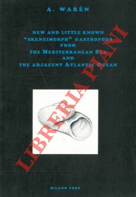 New and little known "Skeneimorph" gastropods from the Mediterranean Sea …
