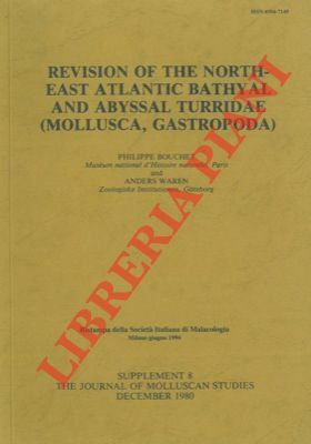 Revision of the Northeast Atlantic bathyal and abyssal Turridae (Mollusca, …