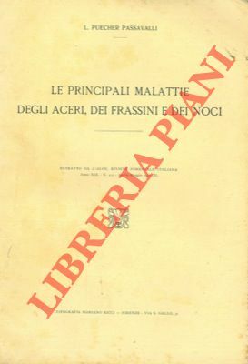 Le principali malattie degli aceri, dei frassini e dei noci.