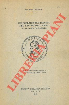 Un eccezionale felceto nel bacino dell' Armo a Reggio Calabria.
