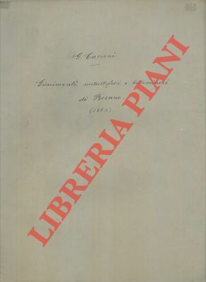 Sui giacimenti metalliferi e bituminosi nei terreni triasici di Besano.