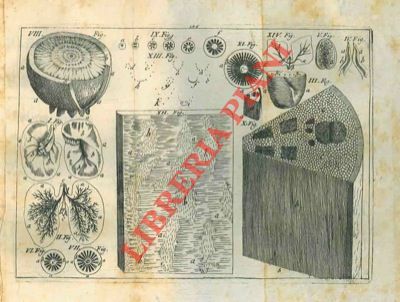 Anotomia ed anima delle piante, che contiene una esatta descrizione …
