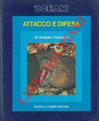 Gli oceani. Attacco e difesa.