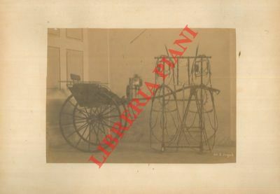 L'Esposizione triennale di Belle Arti ed Industrie nella provincia di …