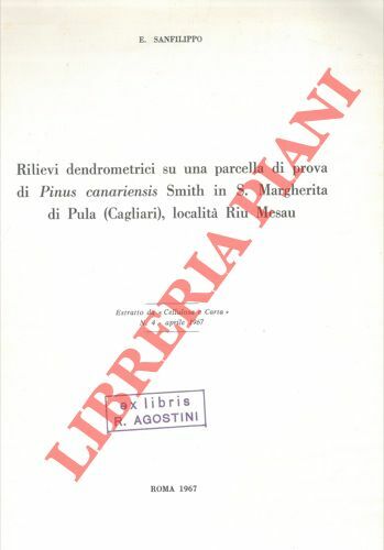 Rilievi dendrometrici su una parcella di prova di Pinus canariensis …