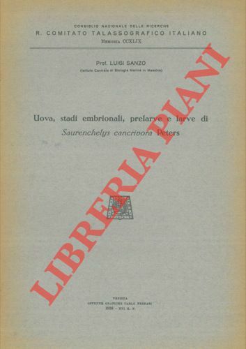 Uova, stati embrionali, prelarve e larve di Saurenchelys cancrivora Peters.