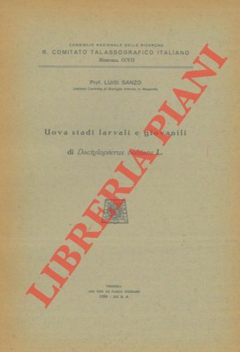 Uova stati larvali e giovanili di Dactylopterus volitans L.