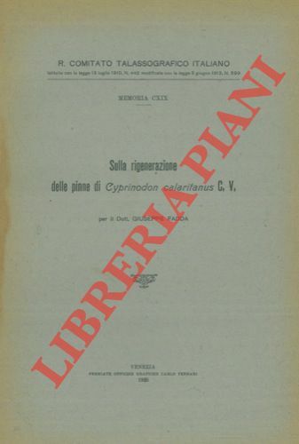 Sulla rigenerazione delle pinne di Cyprinodon calaritanus C.V.