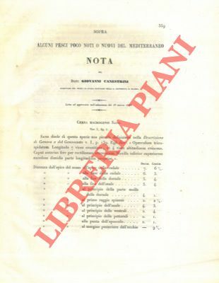 Sopra alcuni pesci poco noti o nuovi del Mediterraneo.