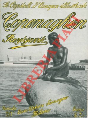 Copenaghen - Reykjavik.