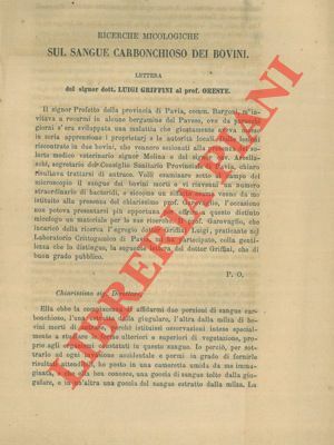 Ricerche micologiche sul sangue carbonchioso dei bovini.