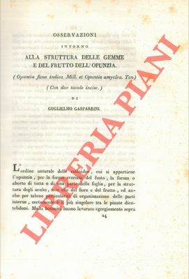 Osservazioni intorno alla struttura delle gemme e del frutto dell'opunzia …