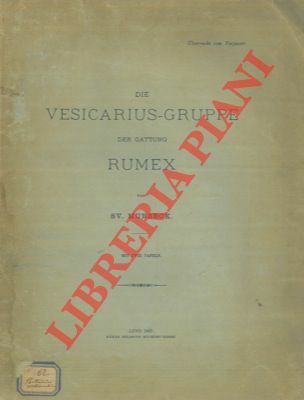 Die Vesicarius-Gruppe der Gattung Rumex.