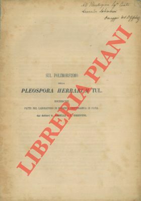 Sul polimorfismo della Pleospora herbarum TUL.