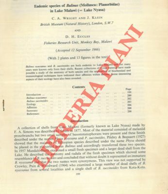 Endemic species of Bulinus (Mollusca: Planorbidae) in Lake Malawi (= …