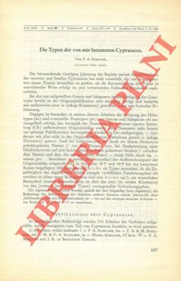 Die Typen der von mir benannten Cypraeacea.