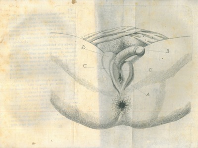 Giornale fisico-medico ossia raccolta di osservazioni sopra la fisica, matematica, …