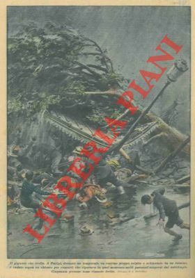 A Parigi, durante un temporale, un enorme pioppo, colpito e …