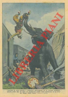 Pagliaccio lanciato in aria, travolto e calpestato mortalmente da un …