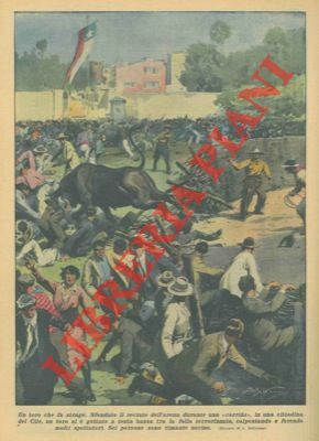 Toro inferocito sfonda il recinto dell'arena andando tra gli spettatori.