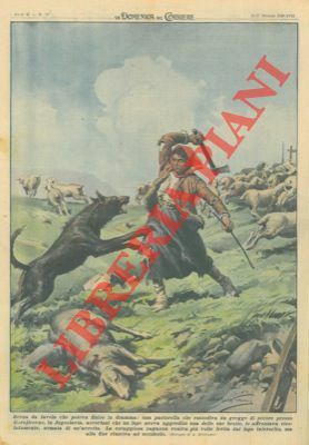 Una pastorella che custodiva un gregge di pecore, accortasi che …