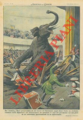 In un teatro di Cincinnati un elefante condotto dalla domatrice …
