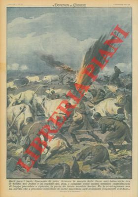 Sperando di fermare la marcia delle forze anti - bolsceviche, …