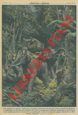 Nella loro avanzata attraverso la giungla della penisola di Malacca, …