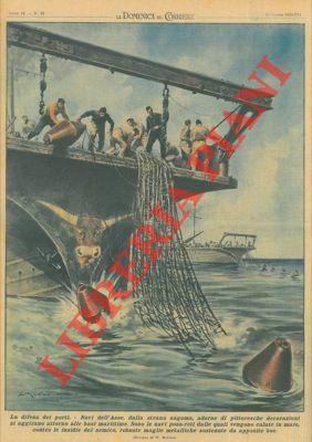 Navi posa - reti dalle quali vengono calate in mare, …