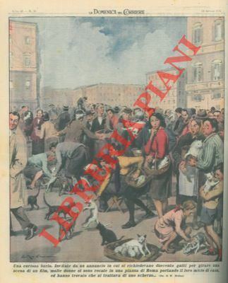 Invitate da un annuncio in cui si richiedevano duecento gatti …